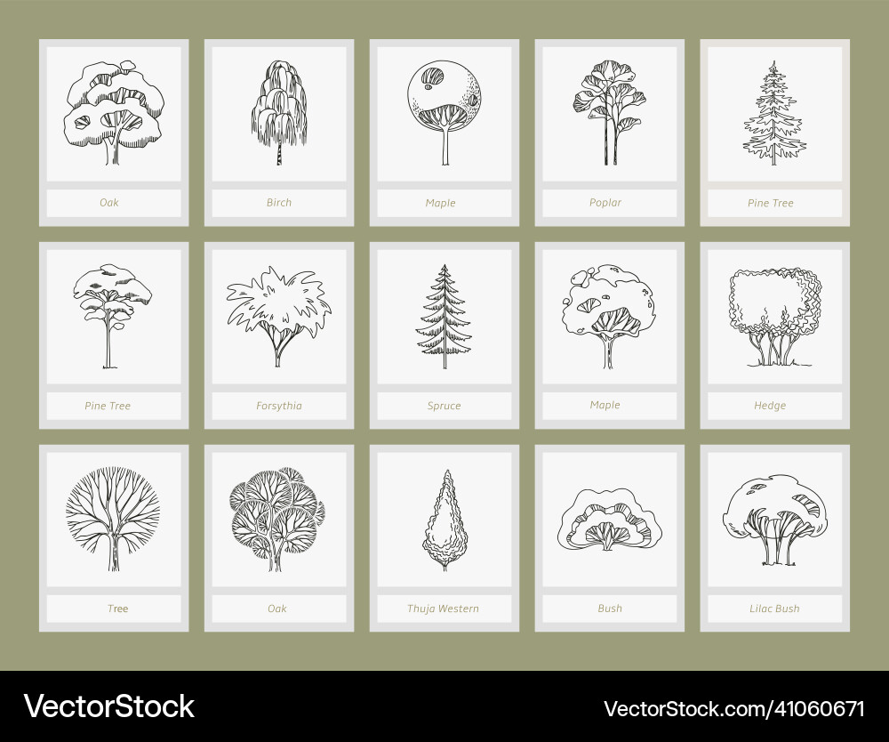 Side view set of graphics trees elements outline Side view set of graphics trees elements outline vector image
