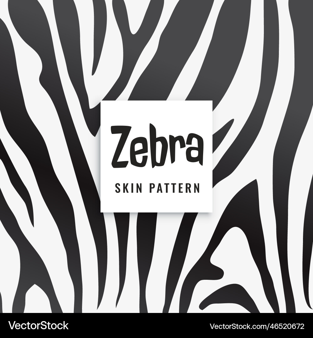 Zebra print pattern in black and white Vector Image