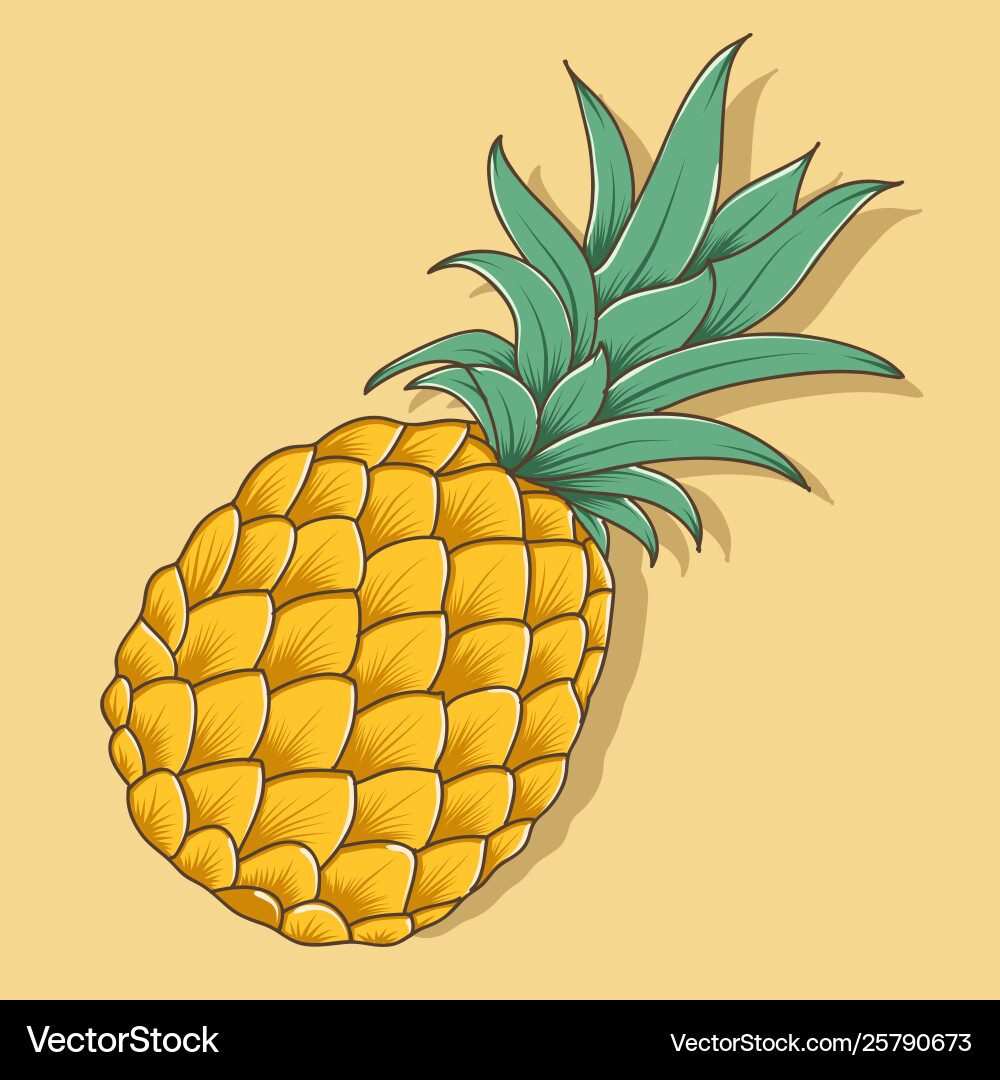 Fresh pineapple Royalty Free Vector Image - VectorStock
