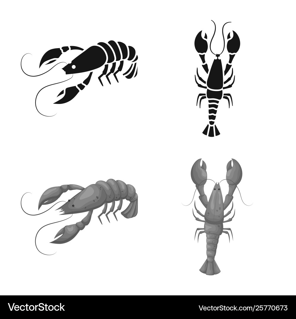 Isolated object appetizer and ocean icon set Vector Image