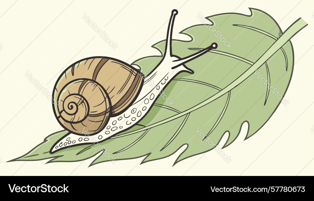Snail crawling on leaf design generative ai Vector Image