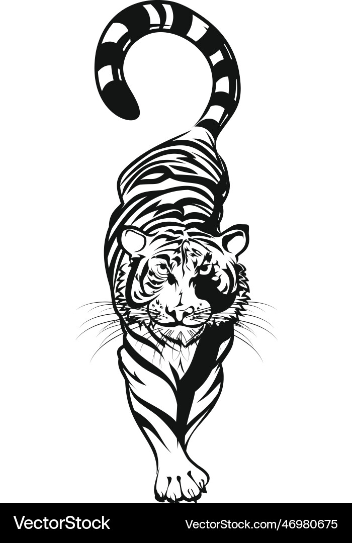 Crouching striped tiger black and white Crouching striped tiger black and white vector image