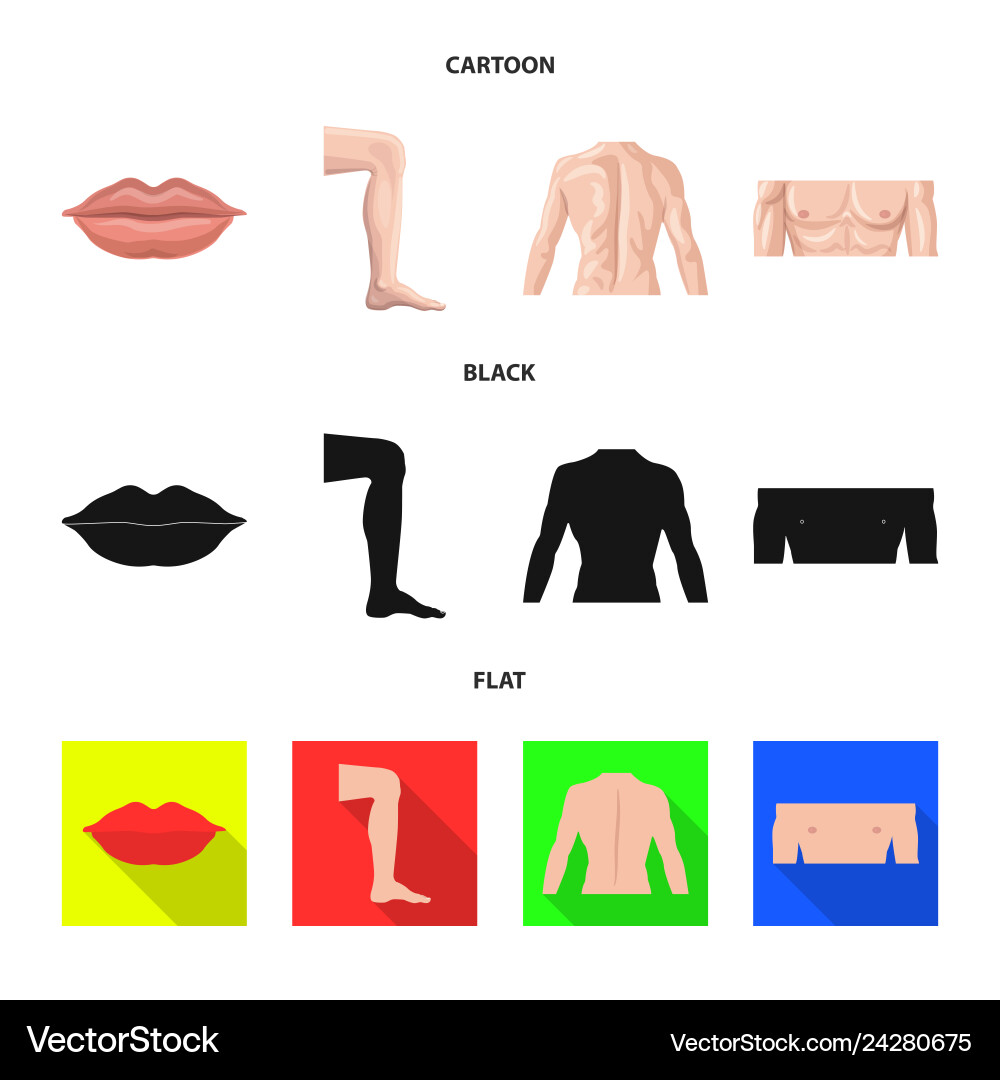 Isolated object of human and part symbol Isolated object of human and part symbol vector image
