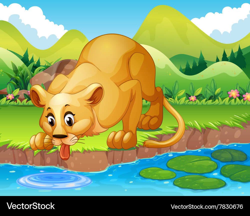 Lion drinking water in the pond Vector Image