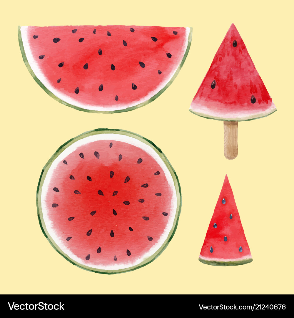 Watercolor Watermelon Collection Vector Image
