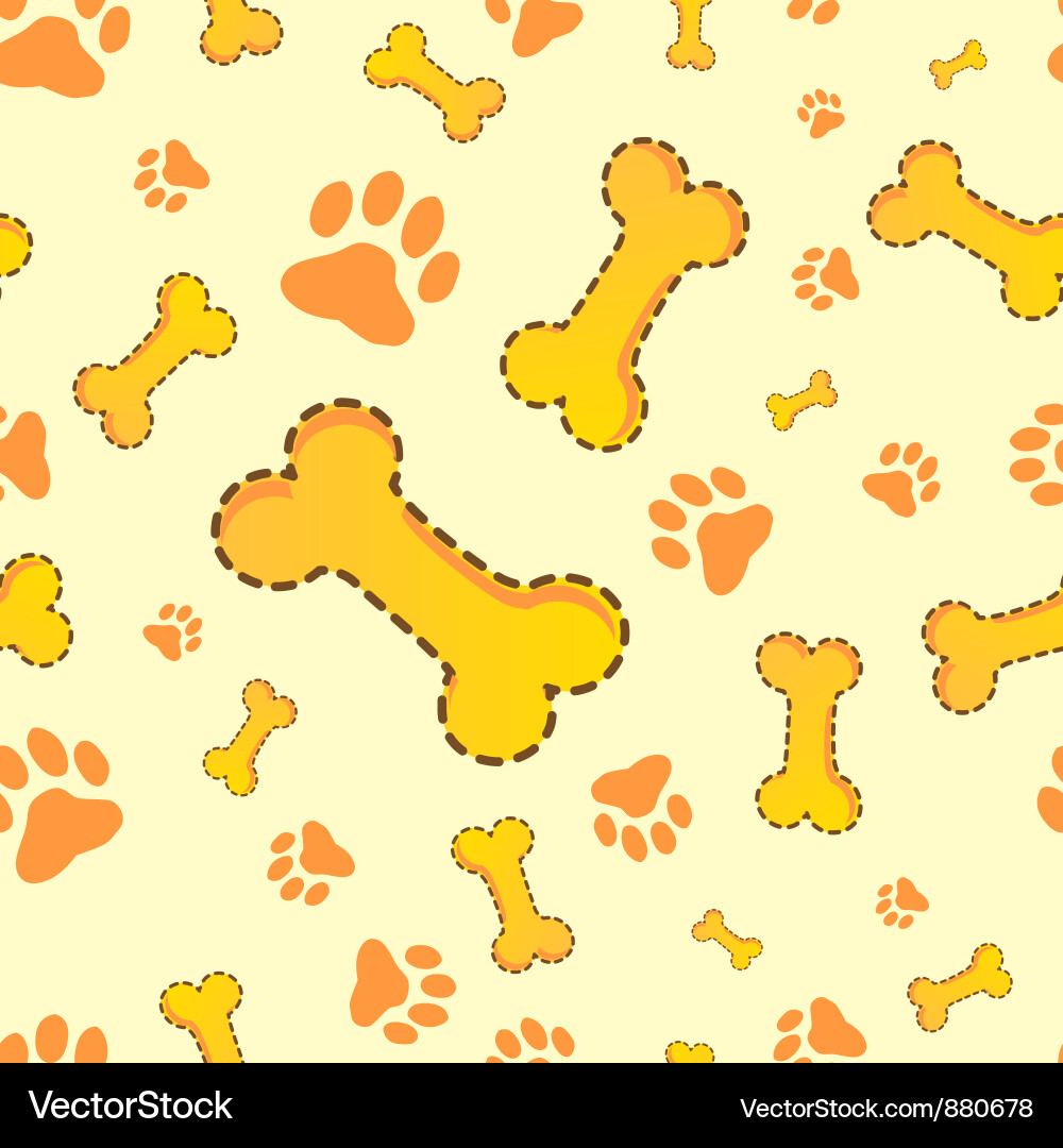Bone and Paw Pattern vector image