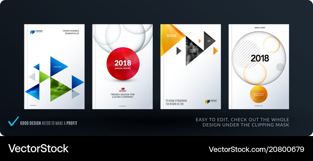 Brochure design triangular template colourful Vector Image