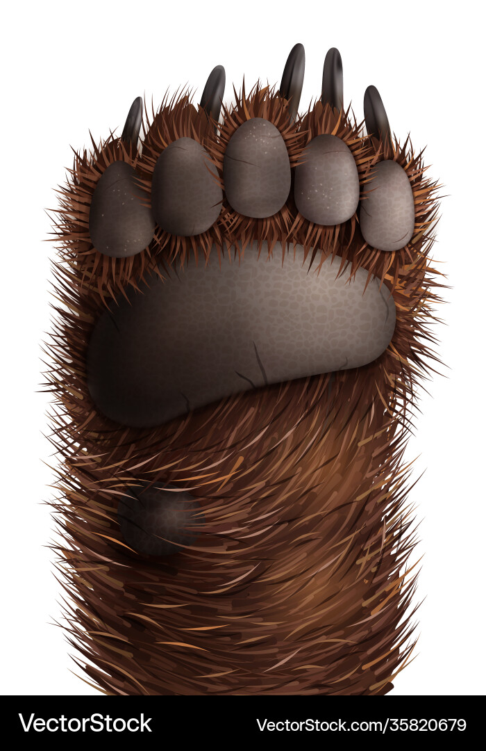 Grizzly Bear Paw Print Clipart