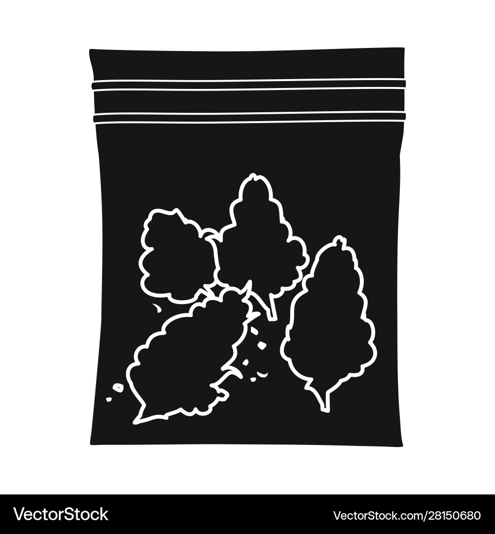 Isolated object marijuana and bag symbol web vector image