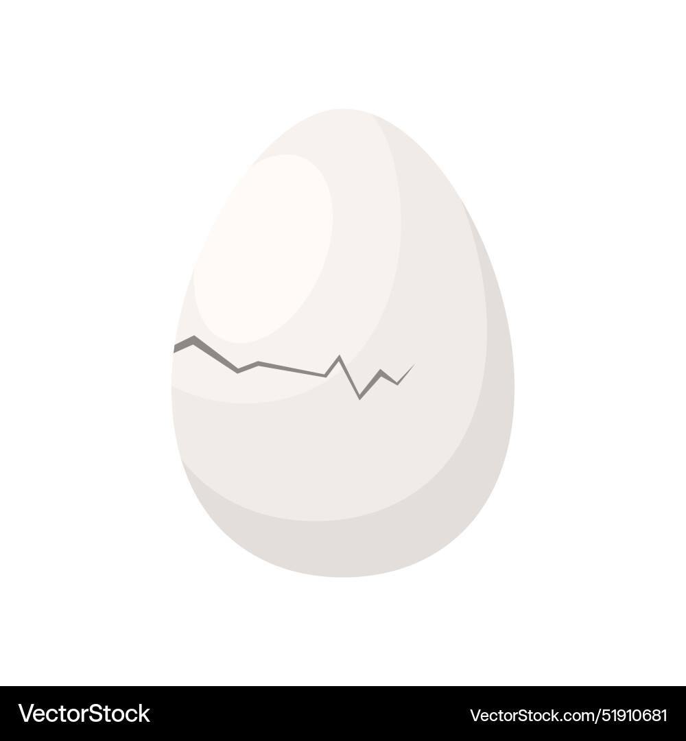 Cracking through fragile shell of white natural Cracking through fragile shell of white natural vector image