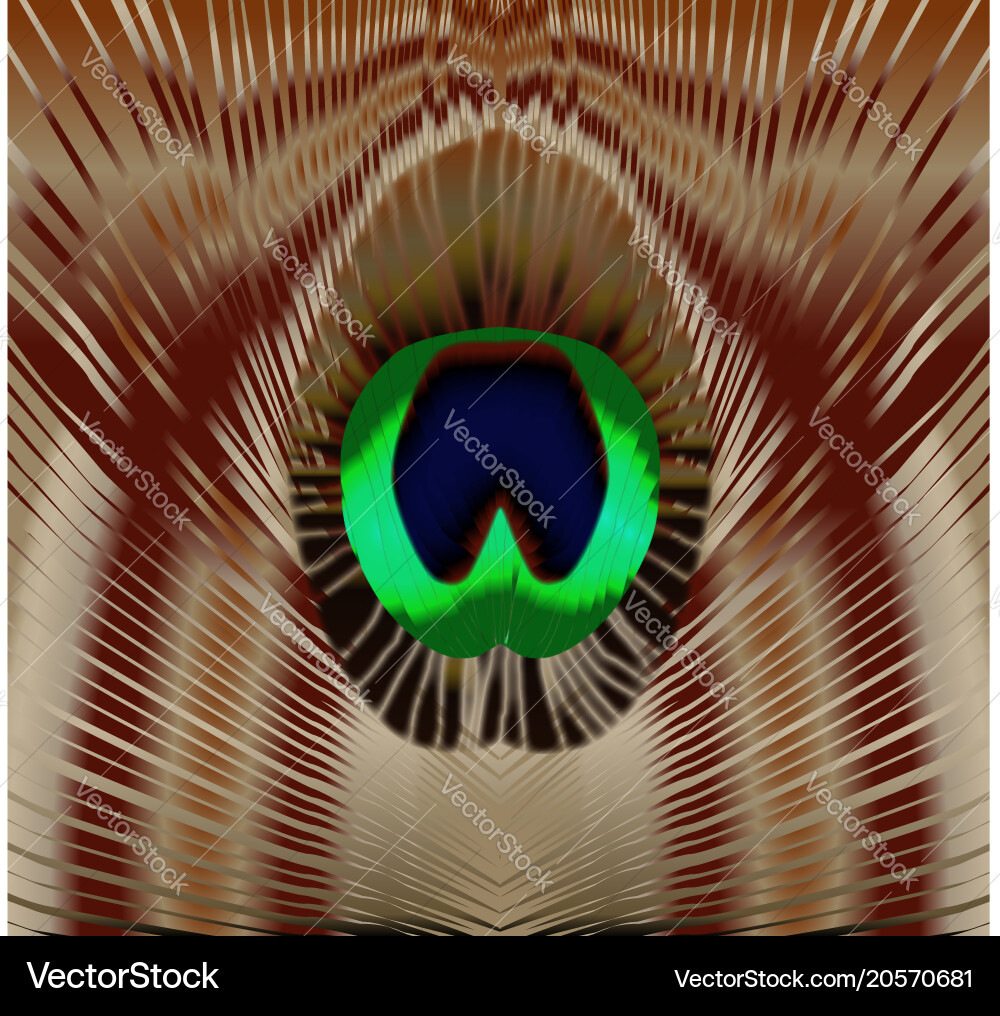 Peacock Feathers Xtra Tall Eyes – Radical Gardens, image size:1000x1016