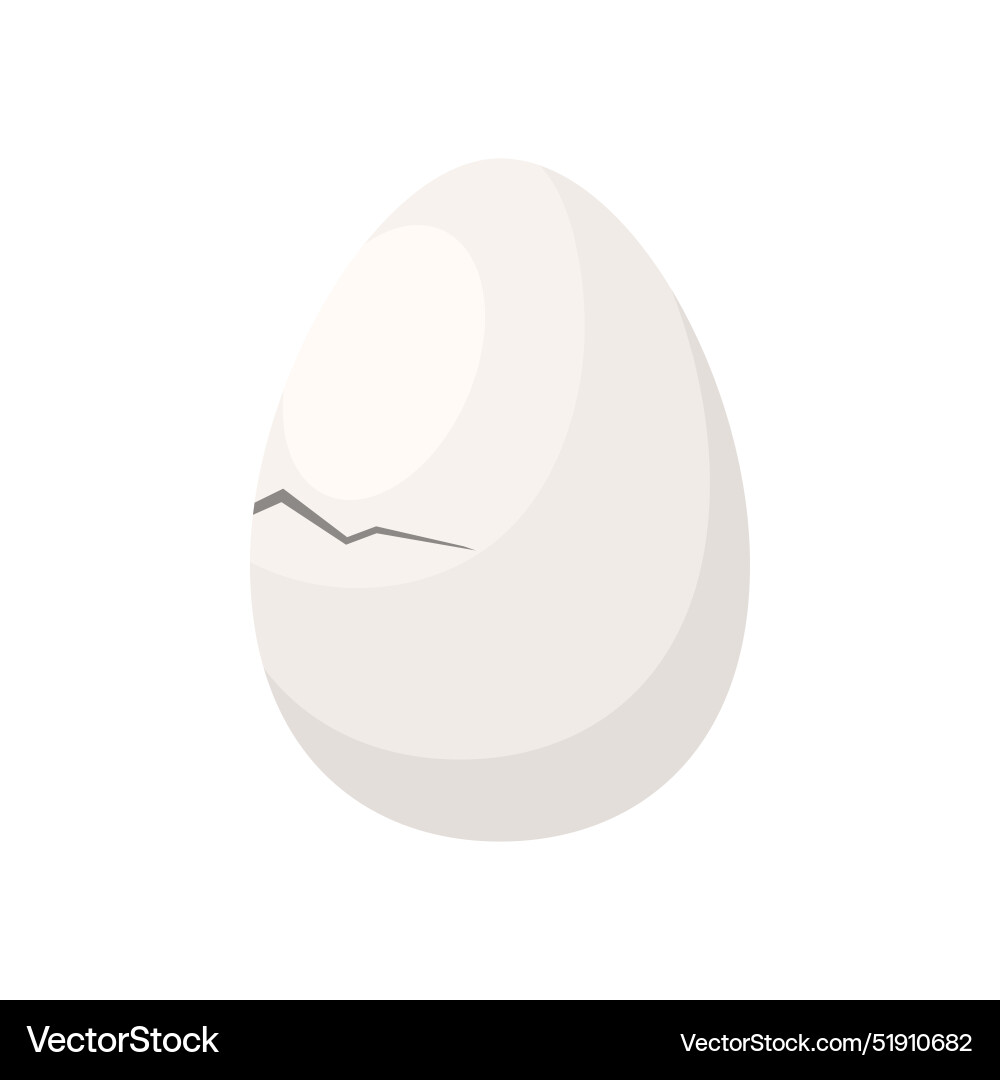 Beginning of crack on fragile shell chicken Beginning of crack on fragile shell chicken vector image