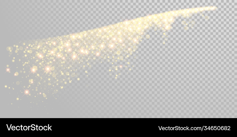 Christmas holiday golden glitter snow Christmas holiday golden glitter snow vector image