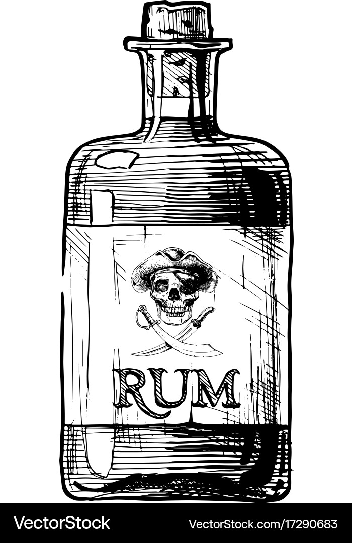 Bottles of alcohol distilled beverage Royalty Free Vector