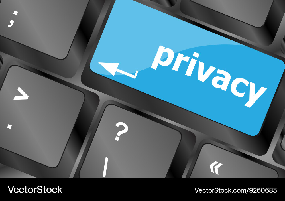 Keyboard with privacy text on - security vector image