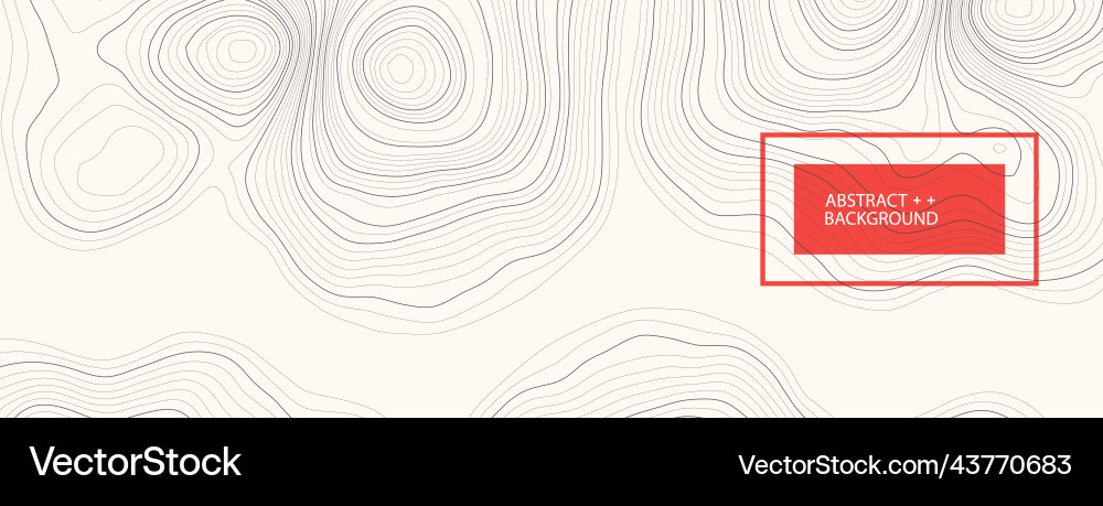 Topographic Map Background - Line Texture vector image