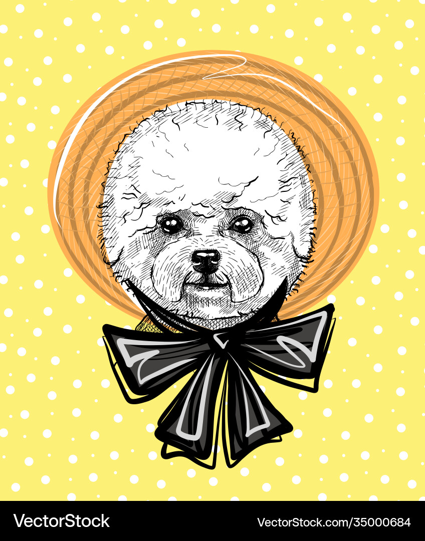 Fashionable cute dog french lapdog in a straw hat Fashionable cute dog french lapdog in a straw hat vector image