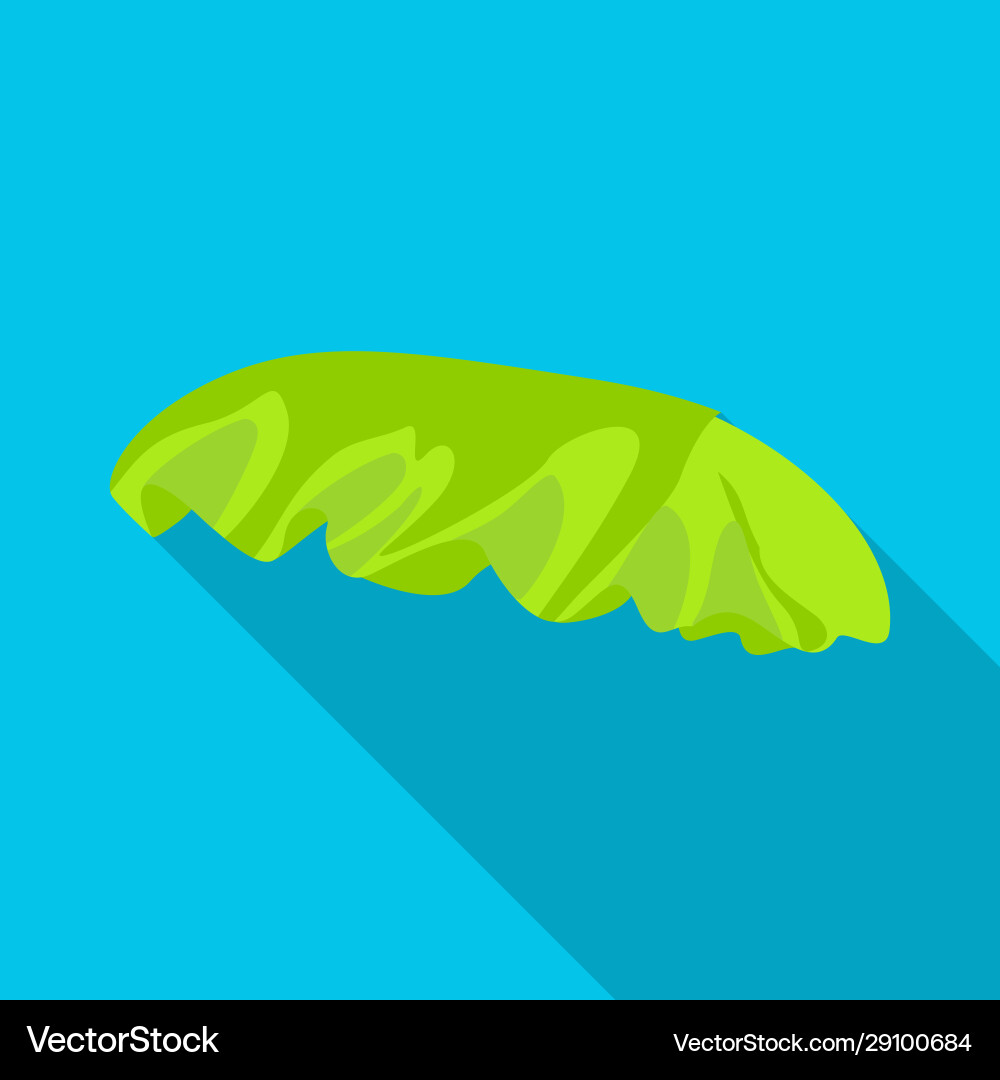 Isolated object bun and bread sign web element Vector Image