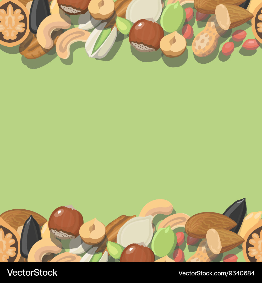 Nut Collection Seamless Pattern vector image