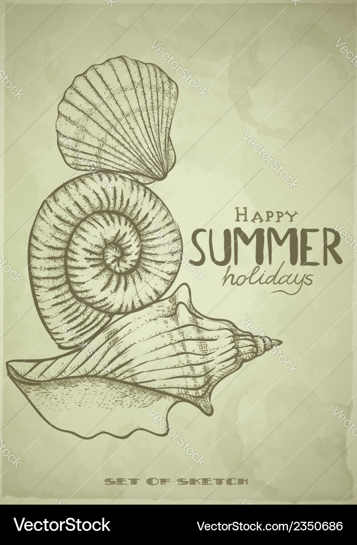 Hand Drawn Elements - Shells & Paper Vector Image
