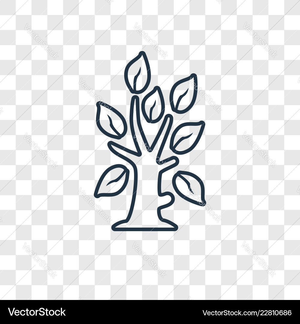 Tree concept linear icon isolated on transparent Tree concept linear icon isolated on transparent vector image