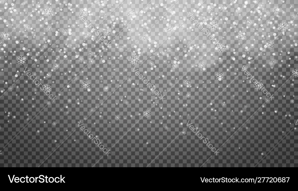 Snowfall Winter Background vector image