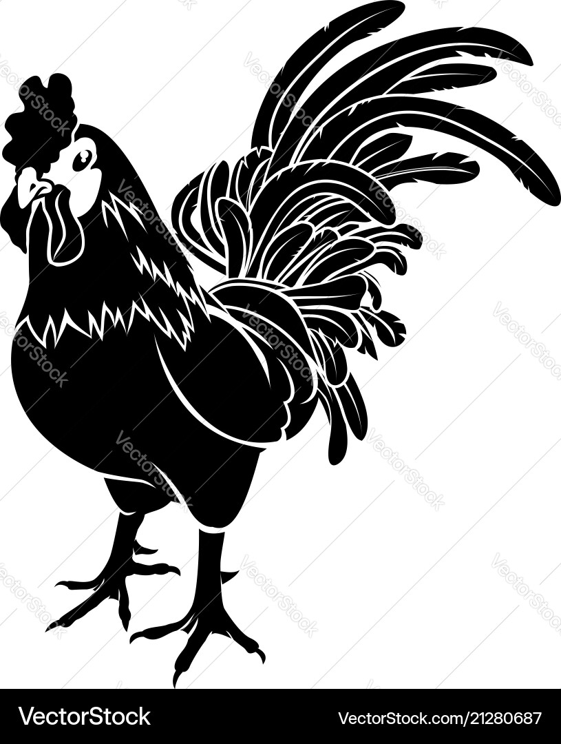 Stylized rooster vector image