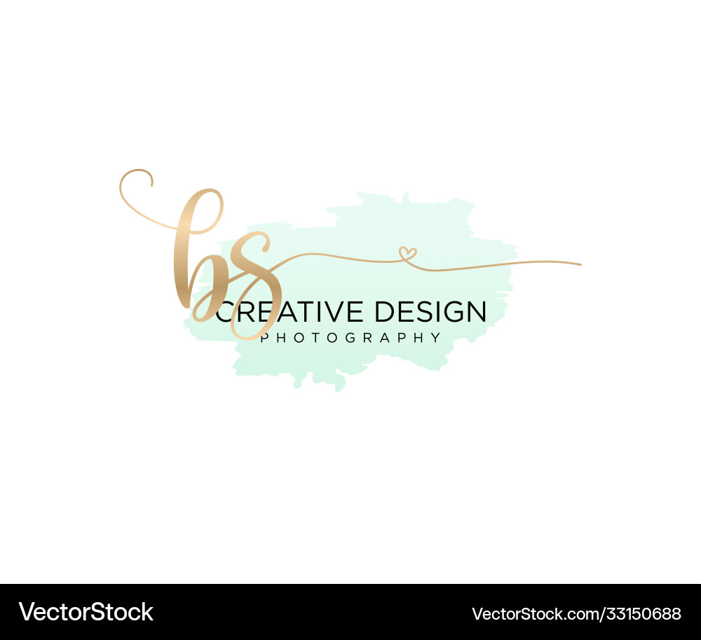 Elegant Initial Brush Script Logo Vector Image