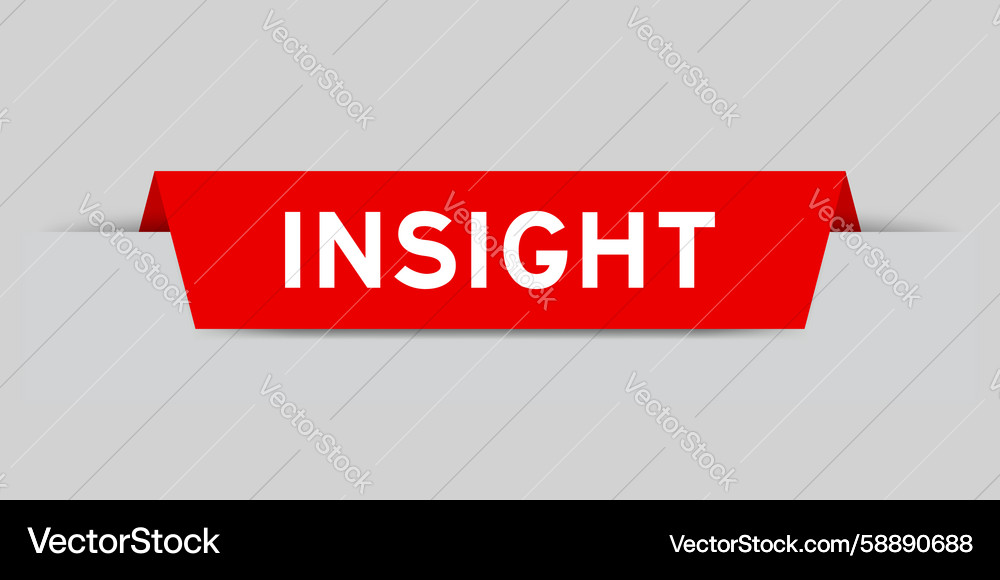 Red color inserted label with word insight Vector Image