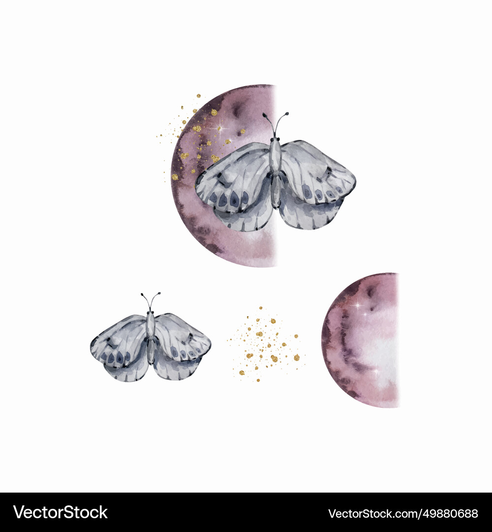 Watercolor elegant bouquet of autumn flowers Vector Image