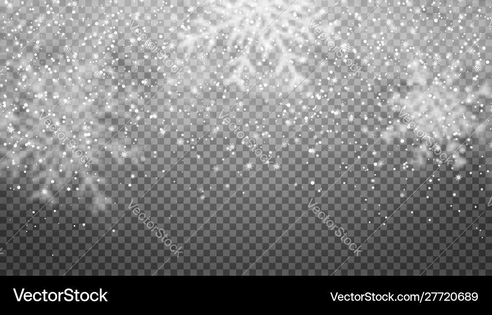 Falling snow on transparent background snowfall Falling snow on transparent background snowfall vector image