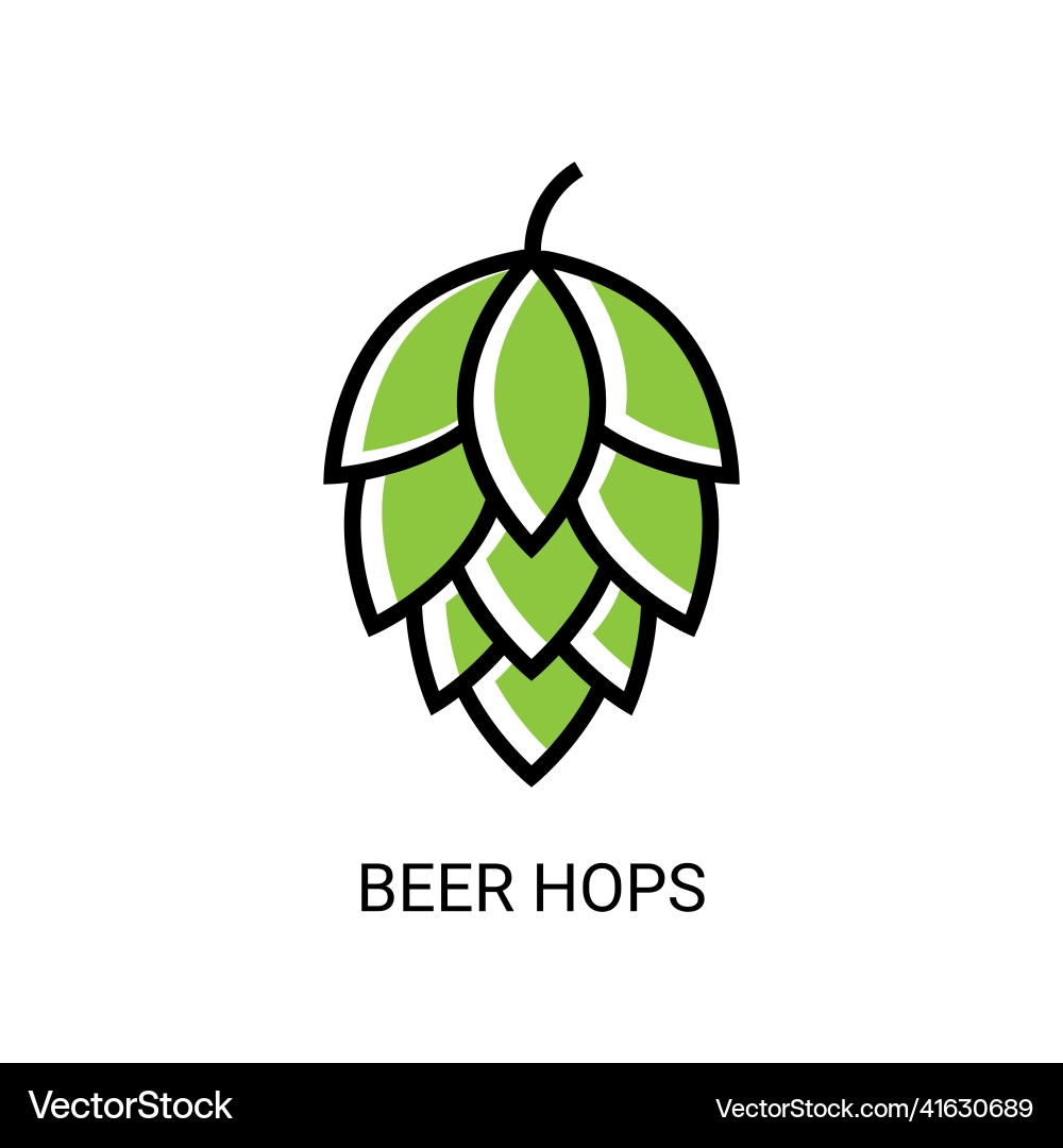 Hop icon beer cone pine leaf Hop icon beer cone pine leaf vector image