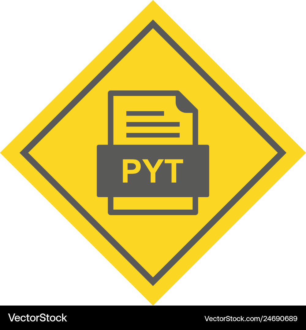 Pyt file document icon vector image
