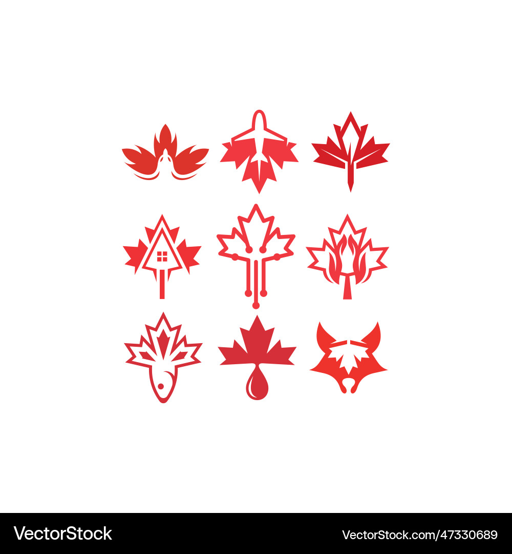 Set maple logo design template elegant simple Set maple logo design template elegant simple vector image