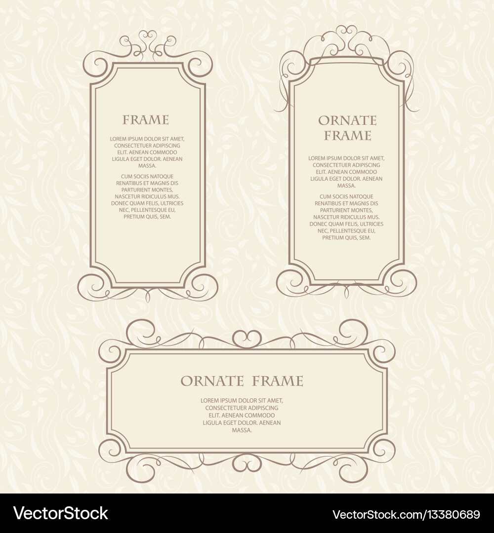 Template design frame vector image