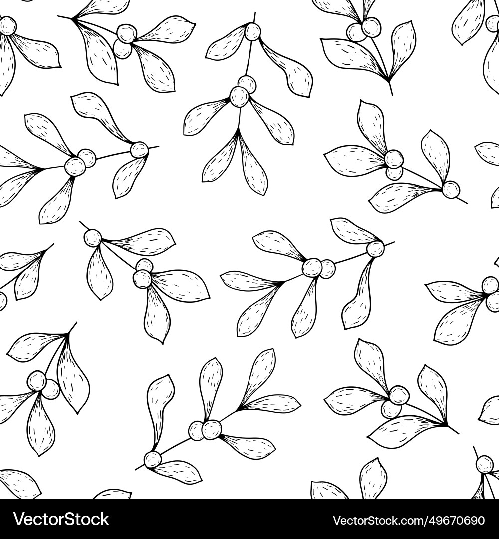 Mistletoe leaves branch with berries winter Mistletoe leaves branch with berries winter vector image