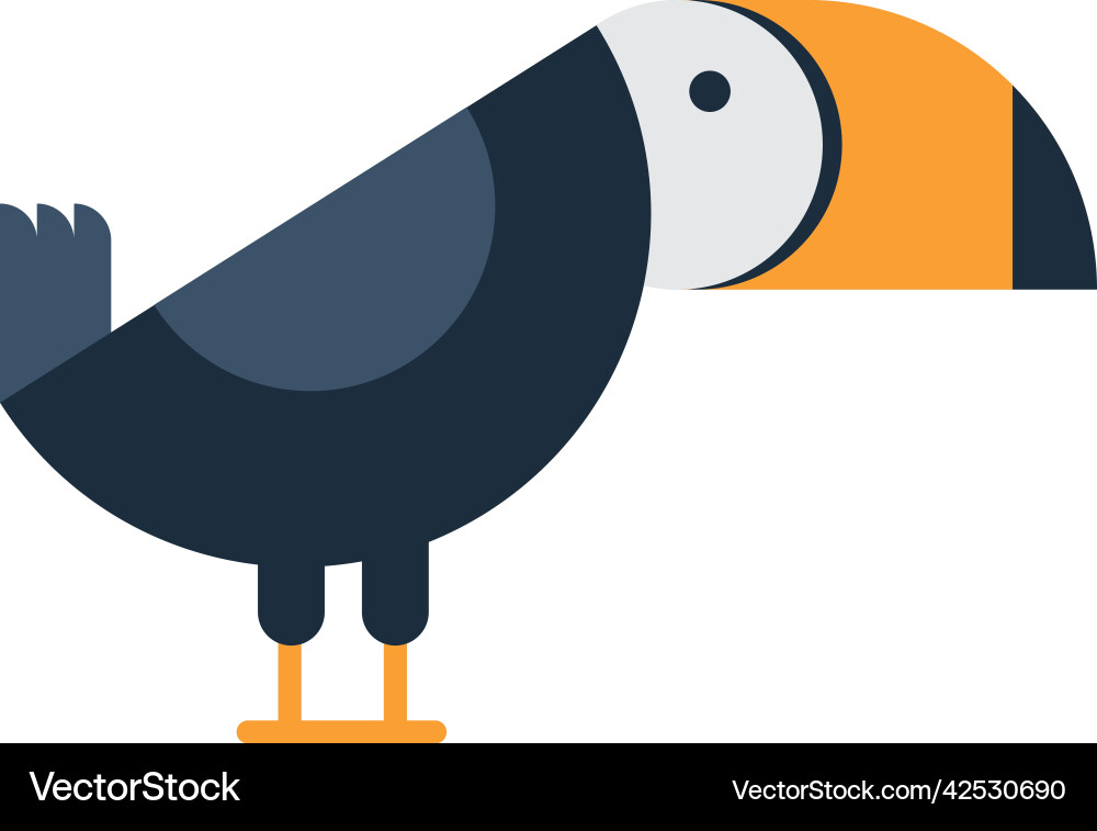 Toucan basic forms Vector Image