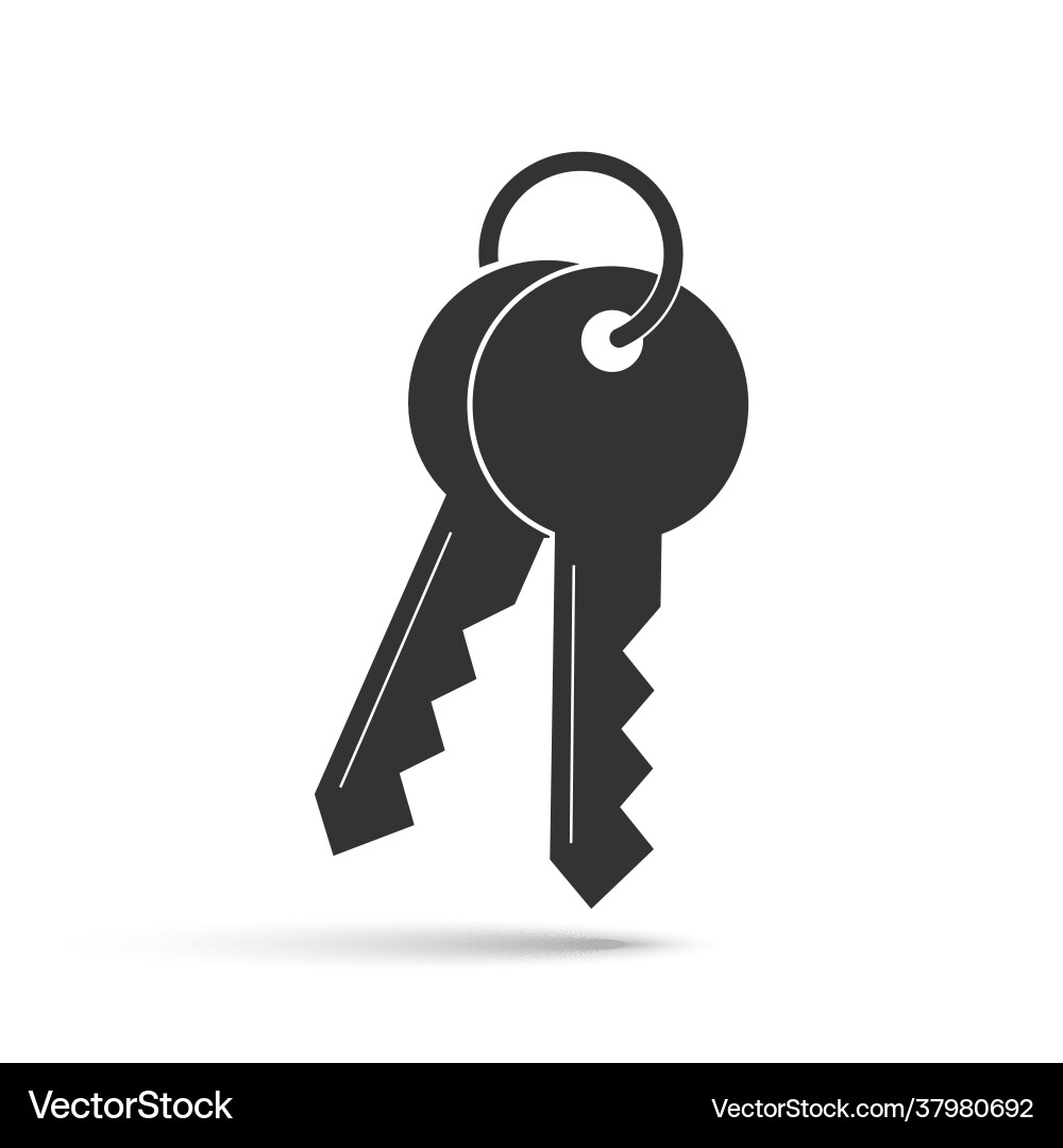 Gray Keys with Shadow Icon vector image