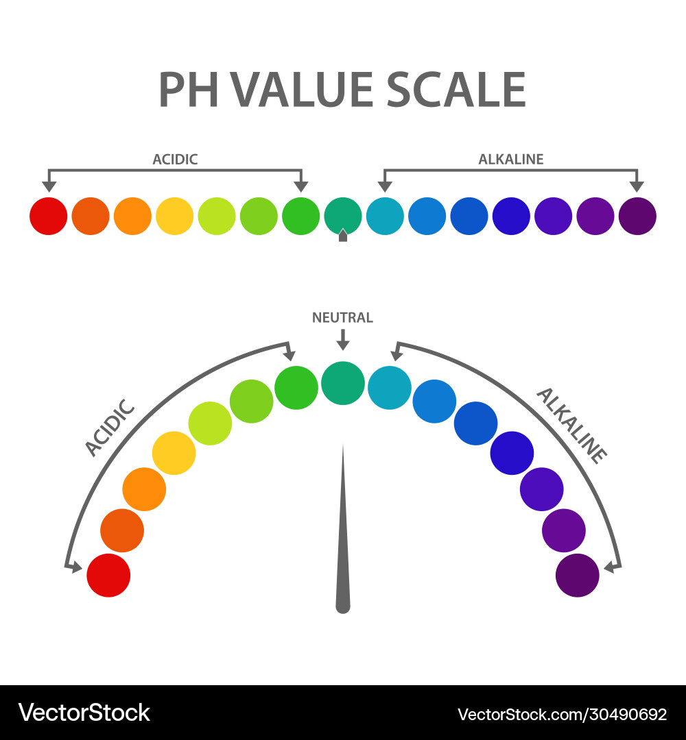 PH Value Scale Chart vector image