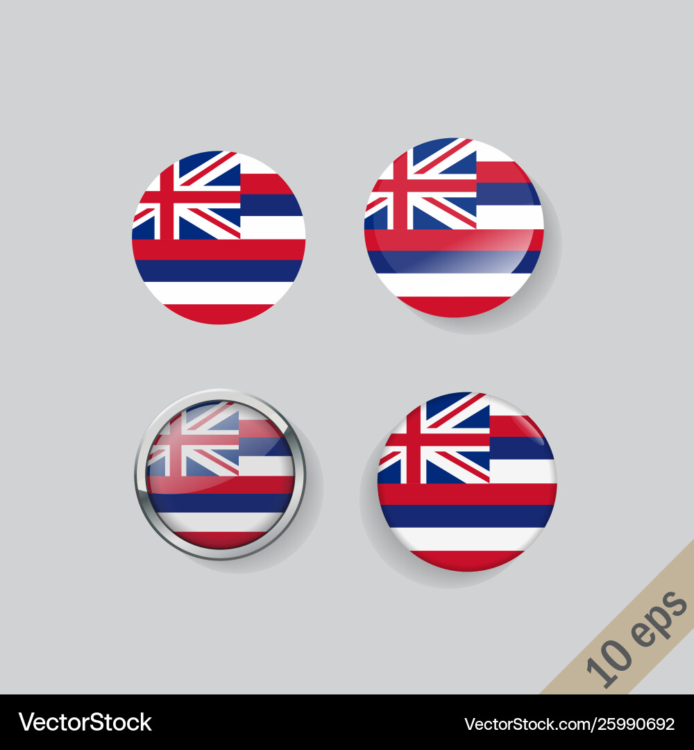 Set round buttons with image hawaii Set round buttons with image hawaii vector image