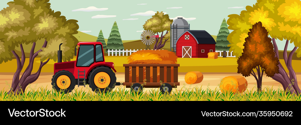 Sugar cane farming harvest at sunset time Sugar cane farming harvest at sunset time vector image