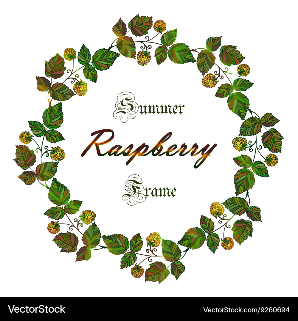 Yellow raspberry frame vector image