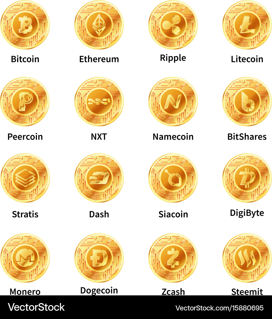 Largest set of golden coins with microchip pattern vector image