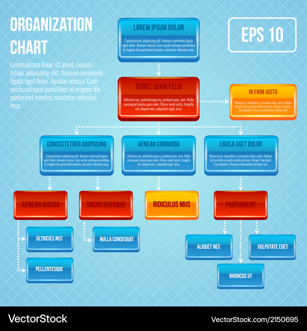 Modern Business Hierarchy Chart Vector Image