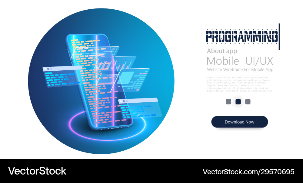 Software Development Coding Concept vector image