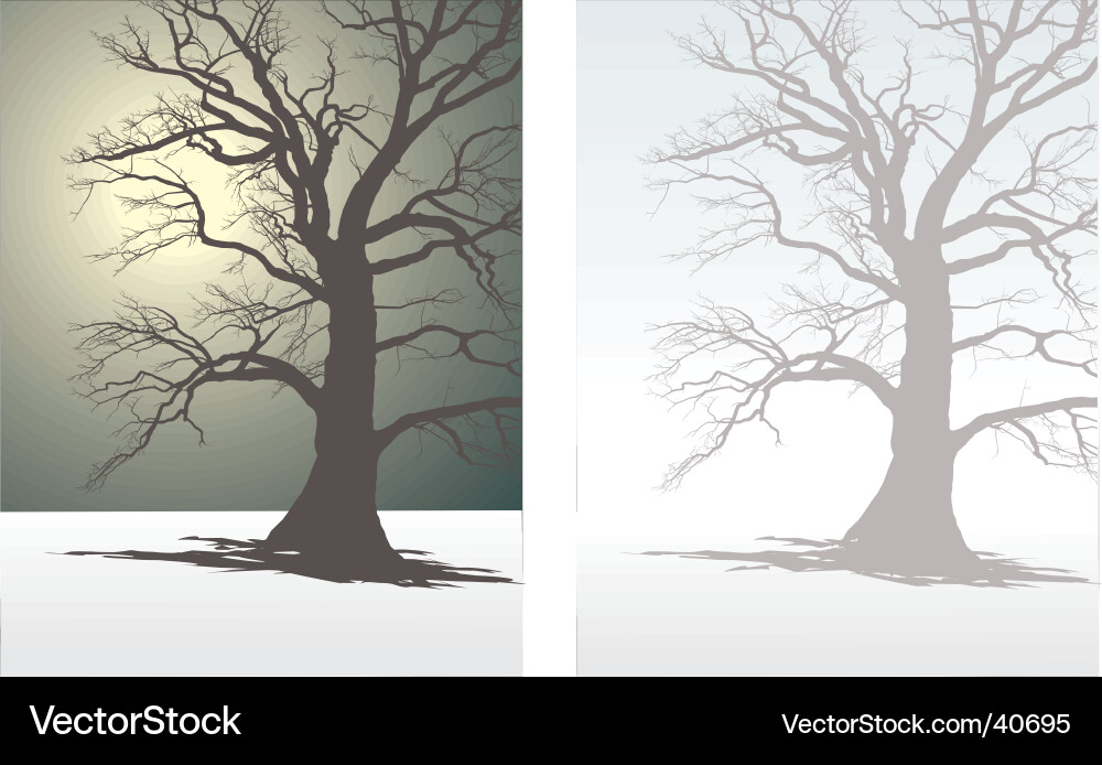 Winter Tree Silhouette Vector Image