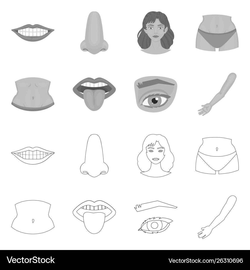 Design body and part icon set Design body and part icon set vector image