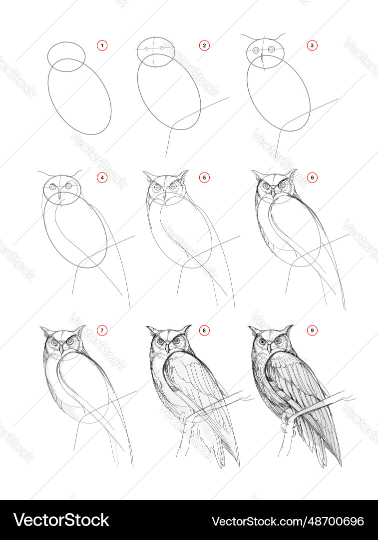 Page shows how to learn draw from life sketch Vector Image