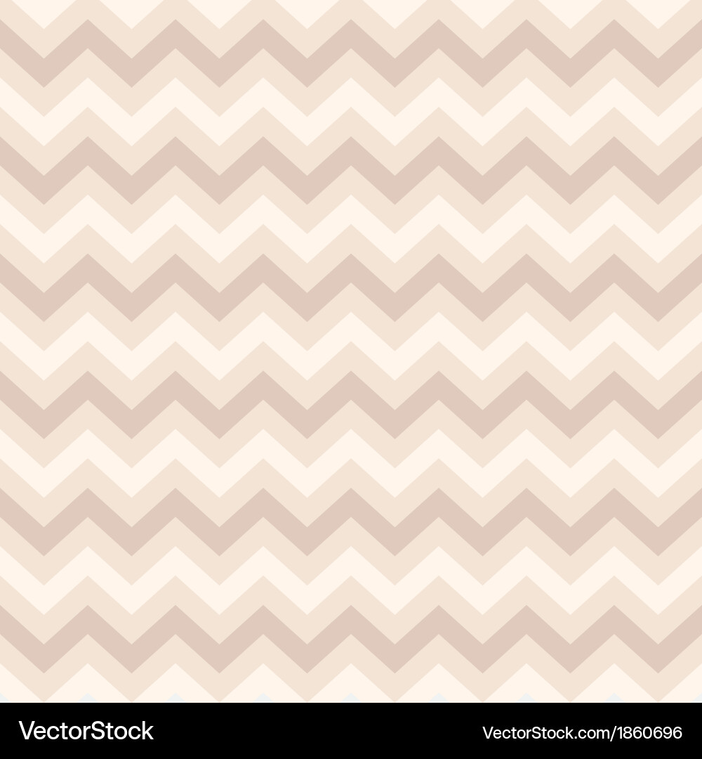 Zigzag Chevron Pattern vector image