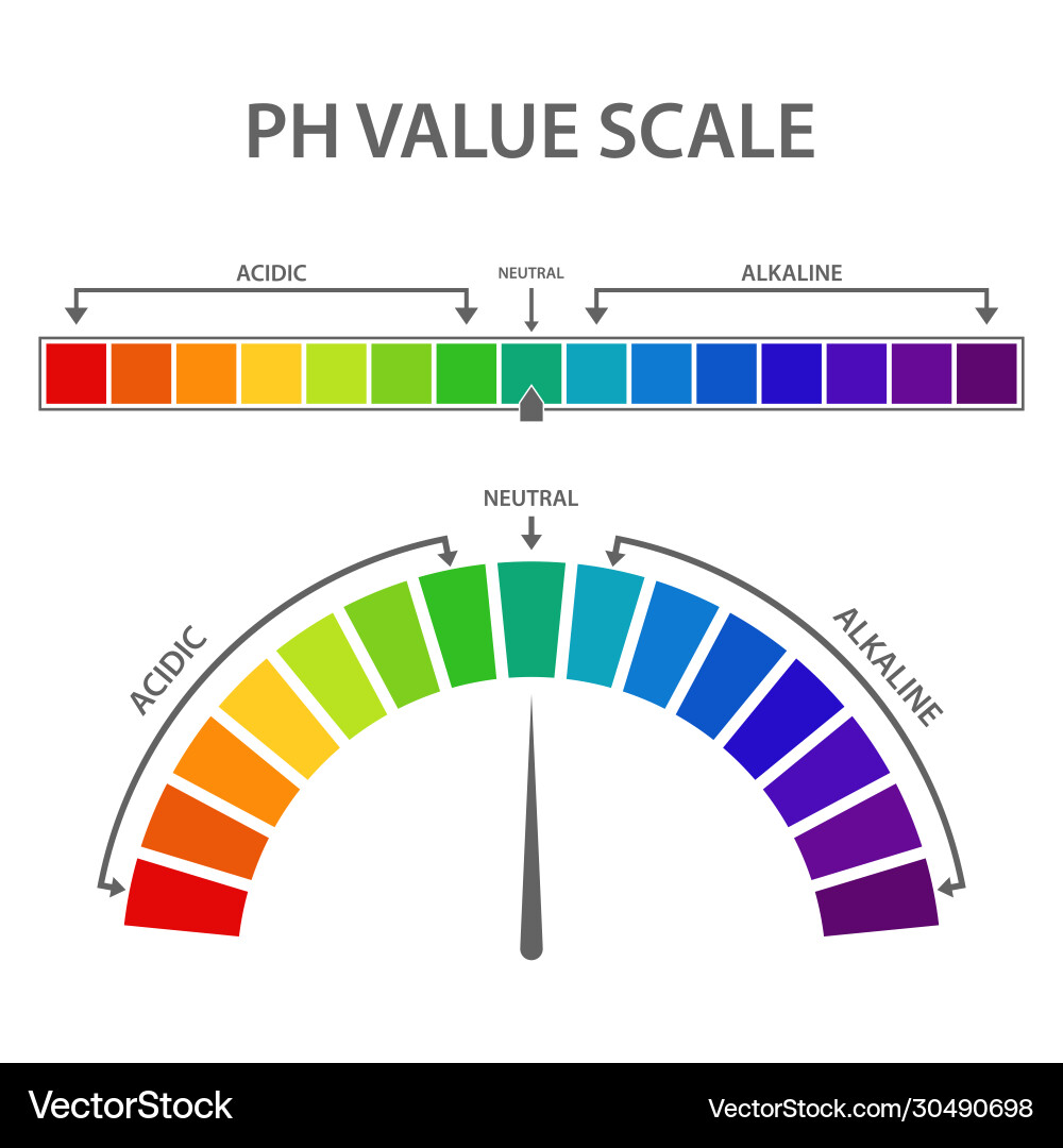 PH Value Scale Chart vector image
